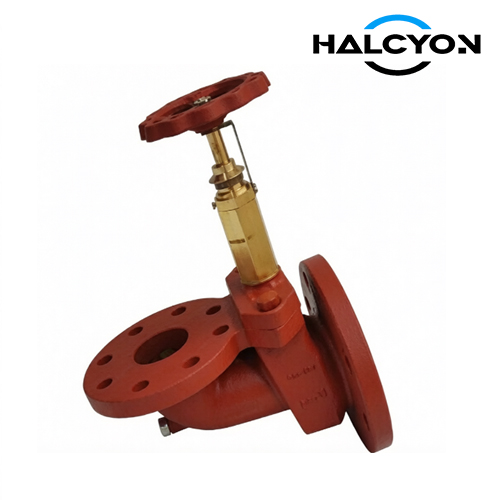 DIN Cast Iron Storm Valve